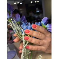 Маникюр покрытие Светоотражающий Foxy